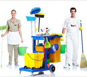 Dış Cephe Temizliği